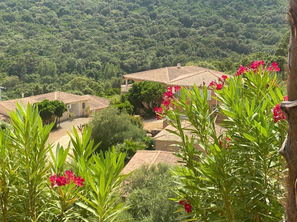 Via Mare Hotel Sainte-Lucie de Porto-Vecchio Buitenkant foto